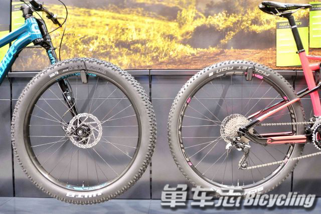 Plus-sized bike 未来新趋势？