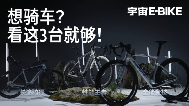 电助力自行车怎么选？宇宙E-BIKE用五年给出三个答案！